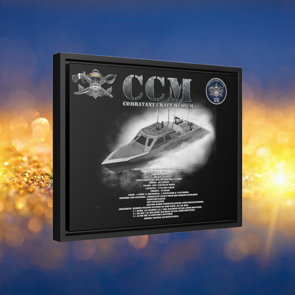 CCM - Combatant Craft Medium *Custom SBT 12 – 9533 Designs LLC.